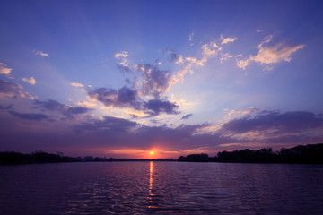 什么是生物的种和界？